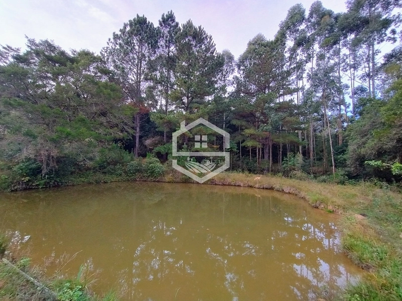 5,7ha com Fácil acesso a BR-116.: 16ª foto da galeria de imagens do imóvel