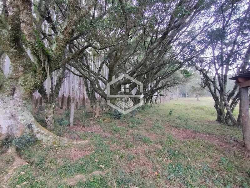 5,7ha com Fácil acesso a BR-116.: 13ª foto da galeria de imagens do imóvel