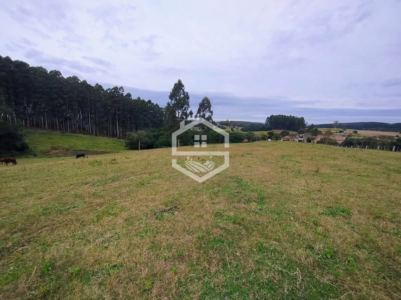 Propriedade 11km da BR-116: 8ª foto da galeria de imagens do imóvel