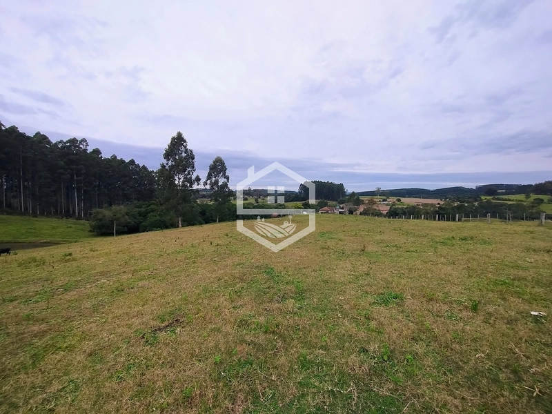 Propriedade 11km da BR-116: 7ª foto da galeria de imagens do imóvel