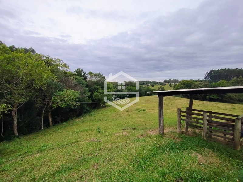 Propriedade 11km da BR-116: 6ª foto da galeria de imagens do imóvel