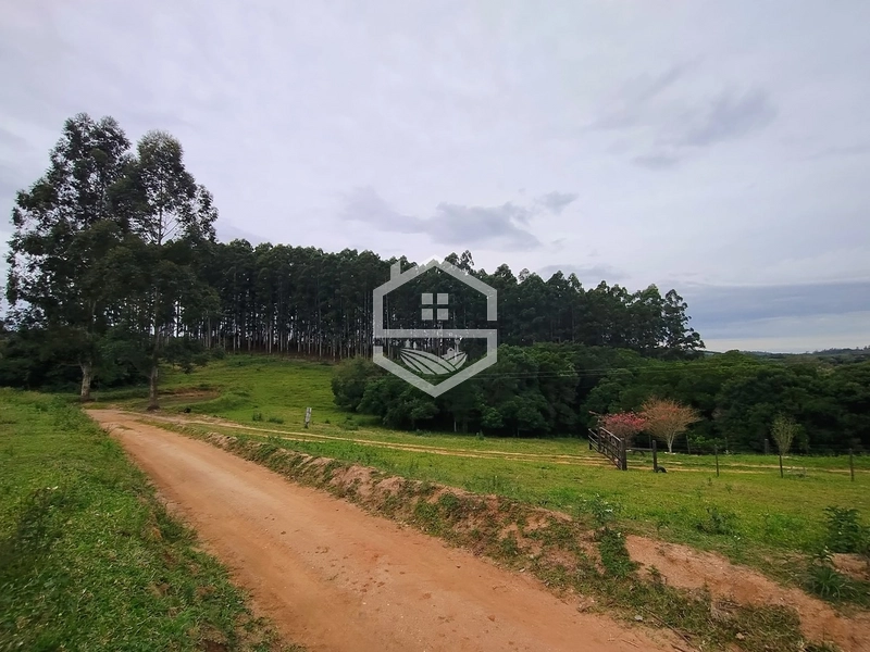 Propriedade 11km da BR-116: 9ª foto da galeria de imagens do imóvel