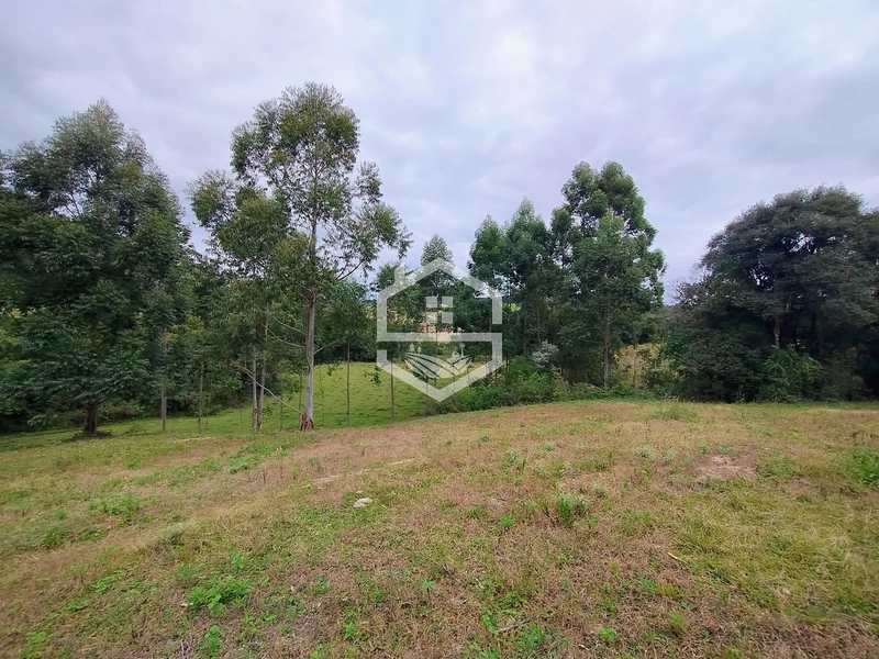 Propriedade 11km da BR-116: 4ª foto da galeria de imagens do imóvel