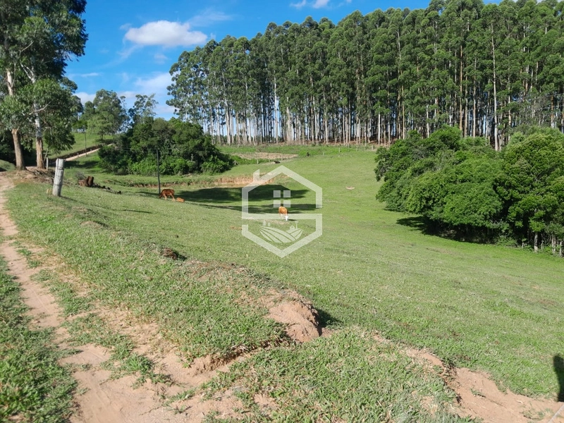 11km da BR-116: 2ª foto da galeria de imagens do imóvel