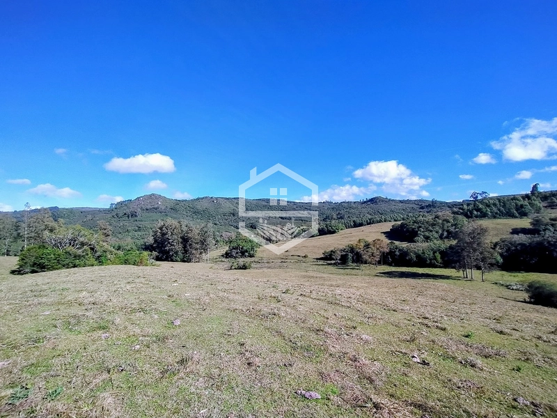 36,7ha no interior de Dom Feliciano.: 6ª foto da galeria de imagens do imóvel