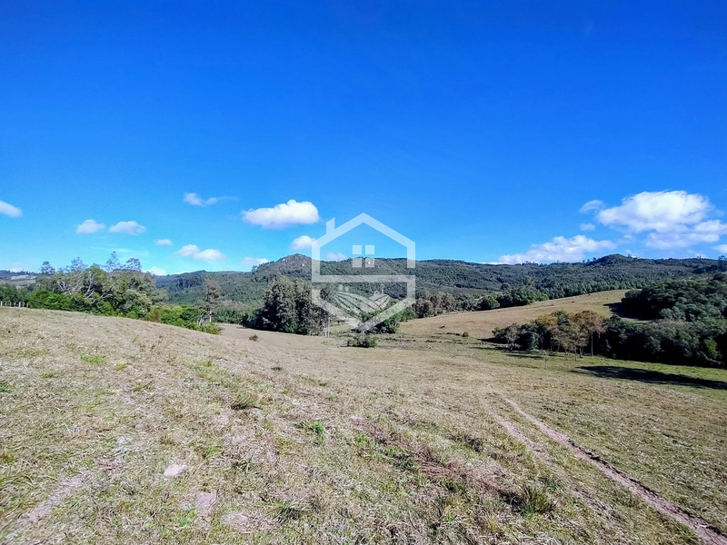 36,7ha no interior de Dom Feliciano.: 5ª foto da galeria de imagens do imóvel