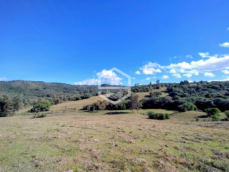 36,7ha no interior de Dom Feliciano.: 1ª foto da galeria de imagens do imóvel
