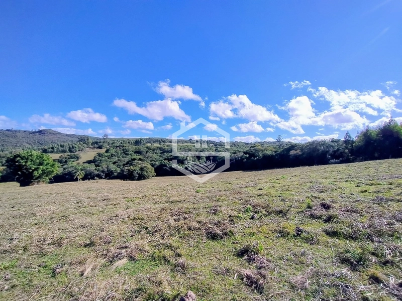 36,7ha no interior de Dom Feliciano.: 3ª foto da galeria de imagens do imóvel