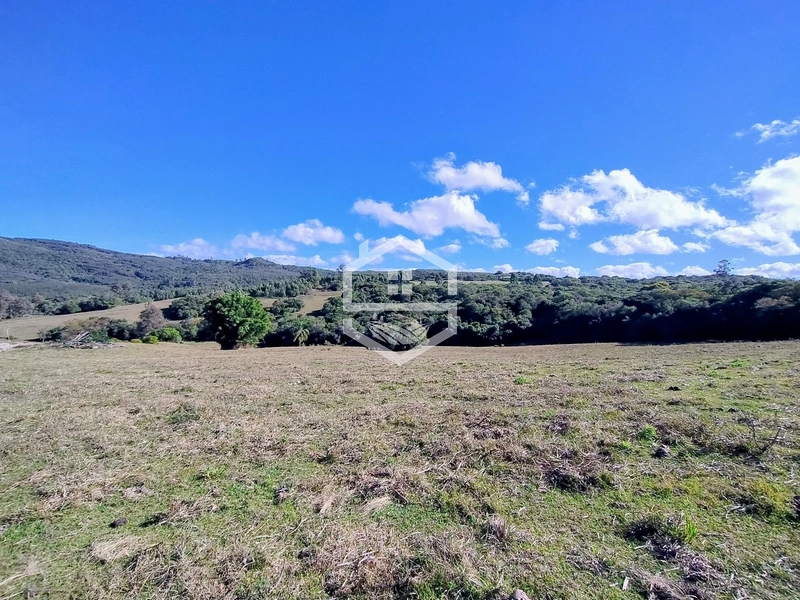 36,7ha no interior de Dom Feliciano.: 4ª foto da galeria de imagens do imóvel