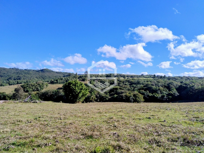 36,7ha no interior de Dom Feliciano.: 2ª foto da galeria de imagens do imóvel