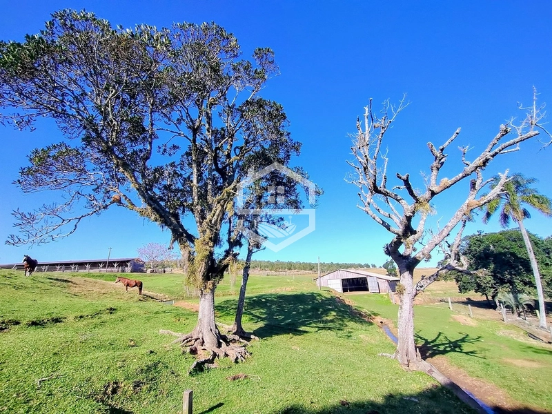 -59ha no interior de Sentinela do Sul-: 3ª foto da galeria de imagens do imóvel