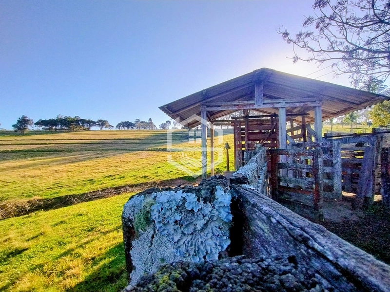 -59ha no interior de Sentinela do Sul-: 1ª foto da galeria de imagens do imóvel