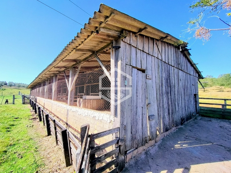 -59ha no interior de Sentinela do Sul-: 9ª foto da galeria de imagens do imóvel