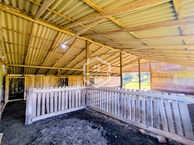 -59ha no interior de Sentinela do Sul-: 5ª foto da galeria de imagens do imóvel