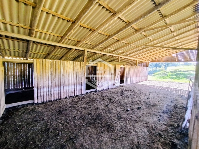 -59ha no interior de Sentinela do Sul-: 4ª foto da galeria de imagens do imóvel