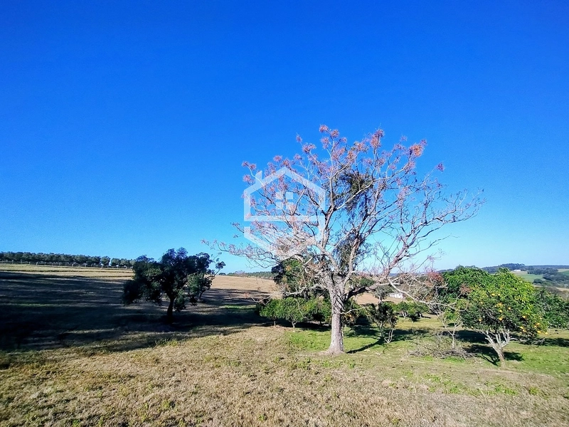 -59ha no interior de Sentinela do Sul-: 11ª foto da galeria de imagens do imóvel