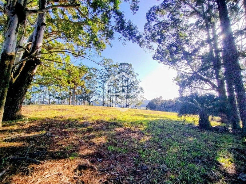 -59ha no interior de Sentinela do Sul-: 12ª foto da galeria de imagens do imóvel
