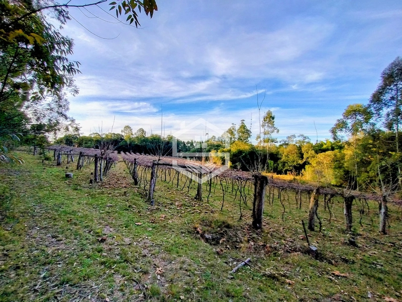 -Propriedade com 12,7 ha, Aptidão Agrosilvipastoril -: 3ª foto da galeria de imagens do imóvel