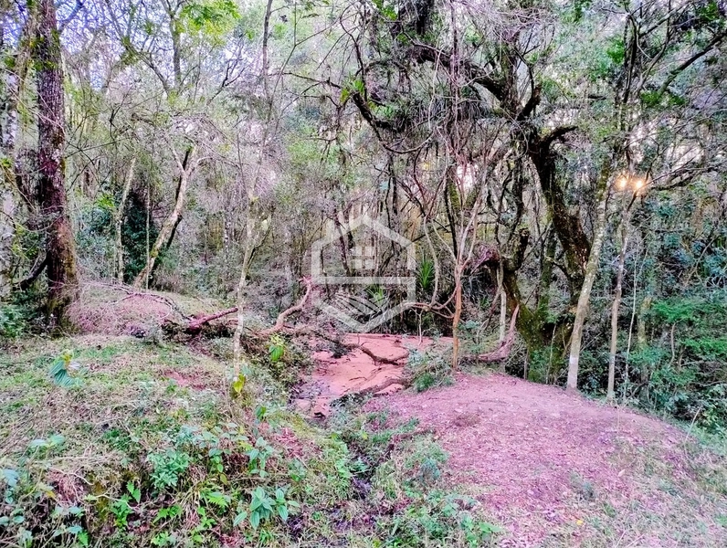-Propriedade com 12,7 ha, Aptidão Agrosilvipastoril -: 4ª foto da galeria de imagens do imóvel