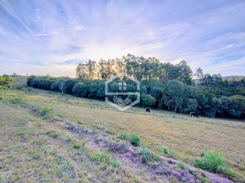 -Propriedade com 12,7 ha, Aptidão Agrosilvipastoril -: 6ª foto da galeria de imagens do imóvel