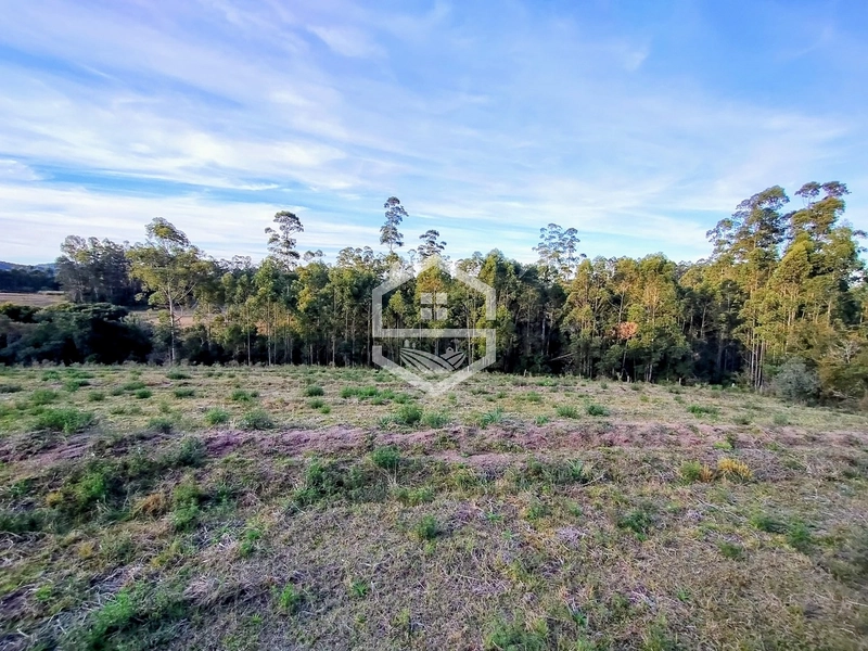 -Propriedade com 12,7 ha, Aptidão Agrosilvipastoril -: 8ª foto da galeria de imagens do imóvel