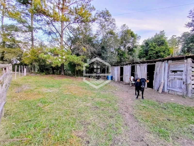-Propriedade com 12,7 ha, Aptidão Agrosilvipastoril -: 11ª foto da galeria de imagens do imóvel