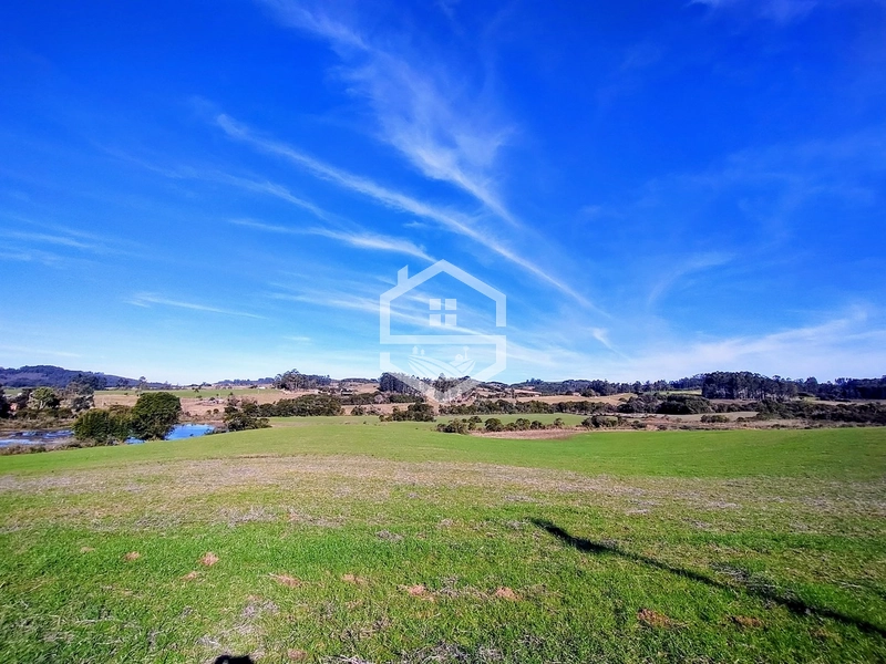 -Propriedade com 33 ha, Aptidão Agropecuária -: 2ª foto da galeria de imagens do imóvel