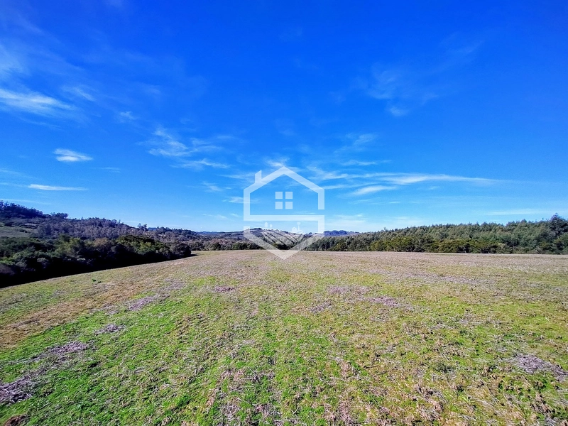 -Propriedade com 22,6ha, Aptidão Agropecuária -: 3ª foto da galeria de imagens do imóvel