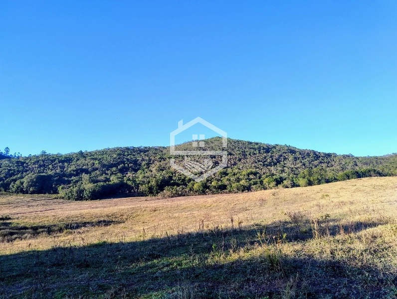 -110 com Aptidão Silvicultura -: 3ª foto da galeria de imagens do imóvel