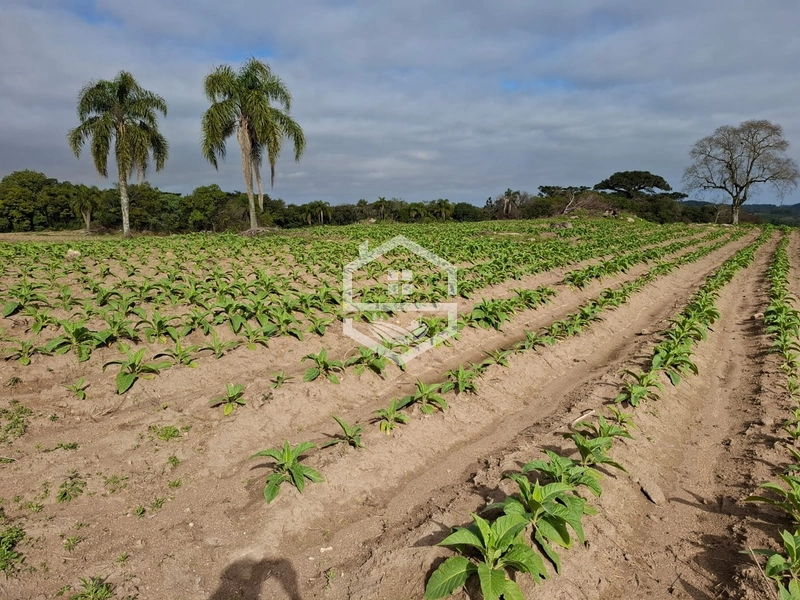 : 3ª foto da galeria de imagens do imóvel