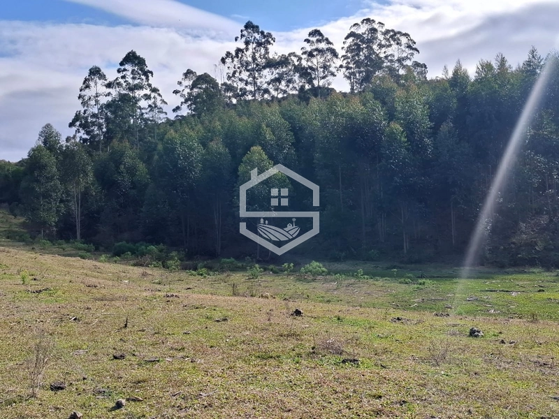 : 5ª foto da galeria de imagens do imóvel