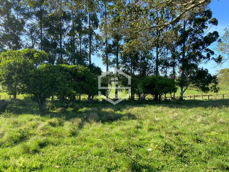 : 4ª foto da galeria de imagens do imóvel