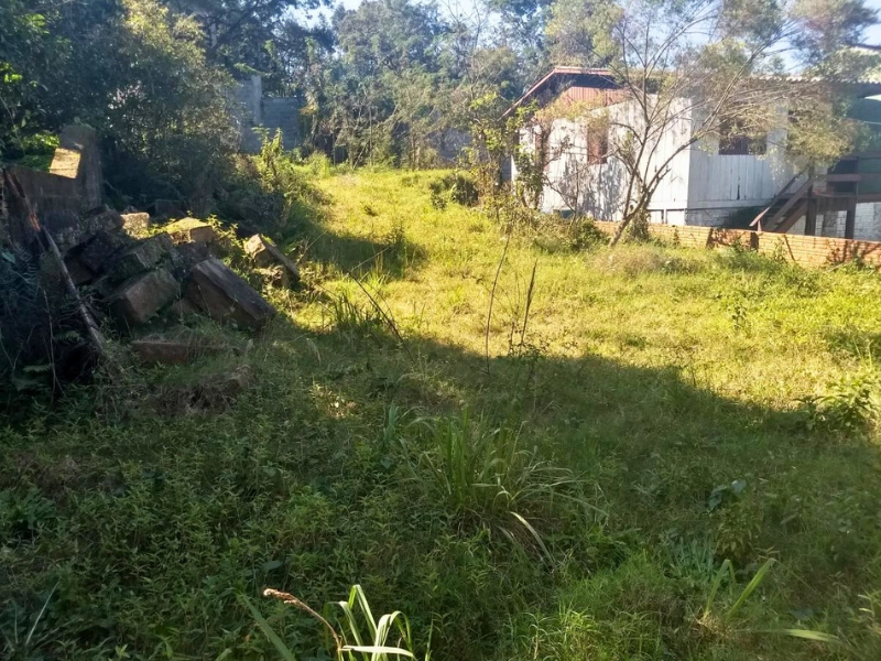 Terreno à venda no Bairro Progresso: 1ª foto da galeria de imagens do imóvel