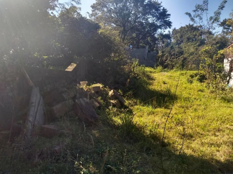 Terreno à venda no Bairro Progresso: 2ª foto da galeria de imagens do imóvel