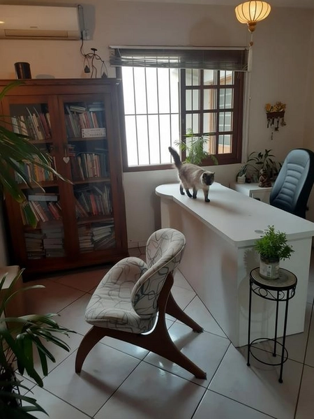 Casa de Alvenaria com 3 Dormitórios e Closet no Bairro Municipal: 7ª foto da galeria de imagens do imóvel