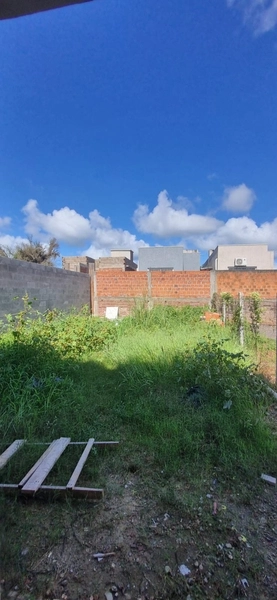 Casa com 2 Dormitórios e Amplo Pátio em Montenegro: 8ª foto da galeria de imagens do imóvel