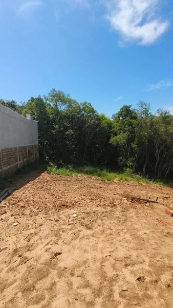 Casa de 3 Dorms com Suíte e Amplo Terreno em Pareci Novo: 10ª foto da galeria de imagens do imóvel