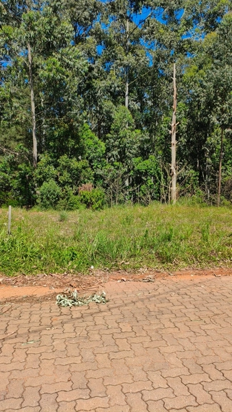 Terreno de 275m² à venda no Loteamento Porto Rico: 2ª foto da galeria de imagens do imóvel