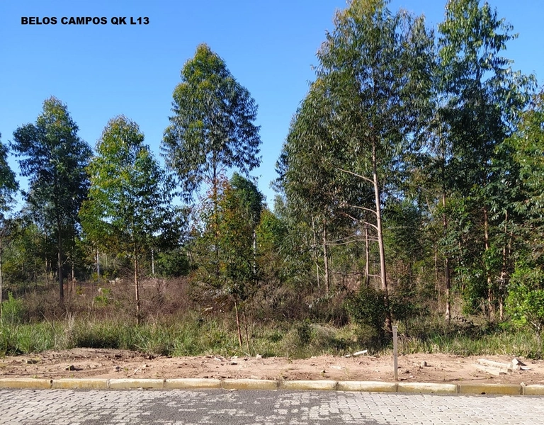 TE-105 Terrenos no Loteamento Belos Campos à partir de 70mil cada: 6ª foto da galeria de imagens do imóvel