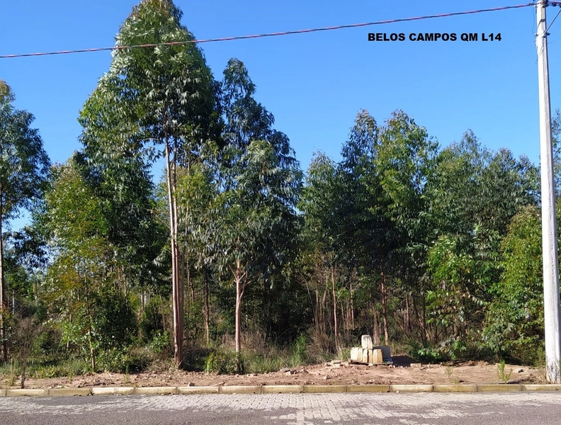 TE-105 Terrenos no Loteamento Belos Campos à partir de 70mil cada: 2ª foto da galeria de imagens do imóvel