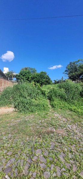 Terrenos à venda no Bairro Santo Antônio em Montenegro - RS: 5ª foto da galeria de imagens do imóvel