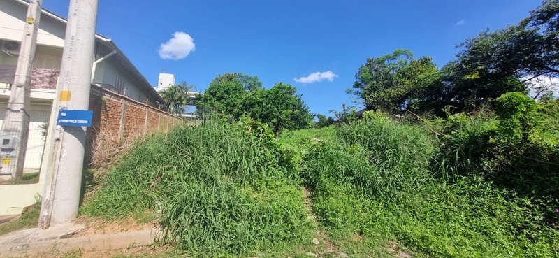 Terrenos à venda no Bairro Santo Antônio em Montenegro - RS: 1ª foto da galeria de imagens do imóvel