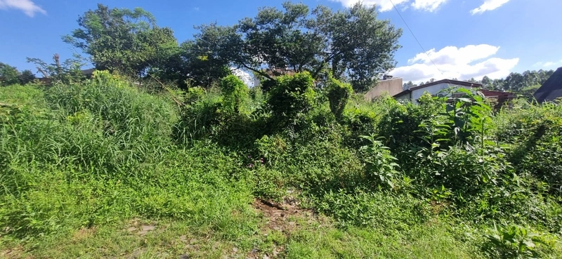 Terrenos à venda no Bairro Santo Antônio em Montenegro - RS: 7ª foto da galeria de imagens do imóvel