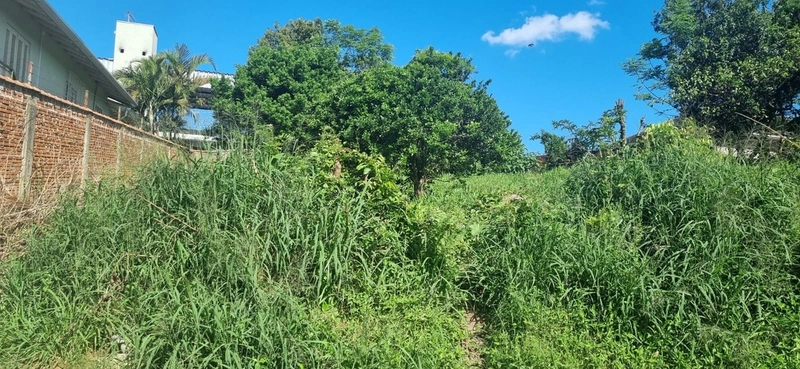 Terrenos à venda no Bairro Santo Antônio em Montenegro - RS: 3ª foto da galeria de imagens do imóvel