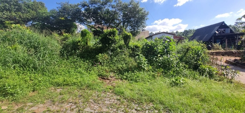 Terrenos à venda no Bairro Santo Antônio em Montenegro - RS: 6ª foto da galeria de imagens do imóvel