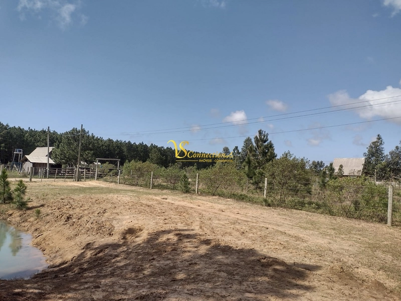 SÍTIO À VENDA EM TRAMANDAÍ: 4ª foto da galeria de imagens do imóvel