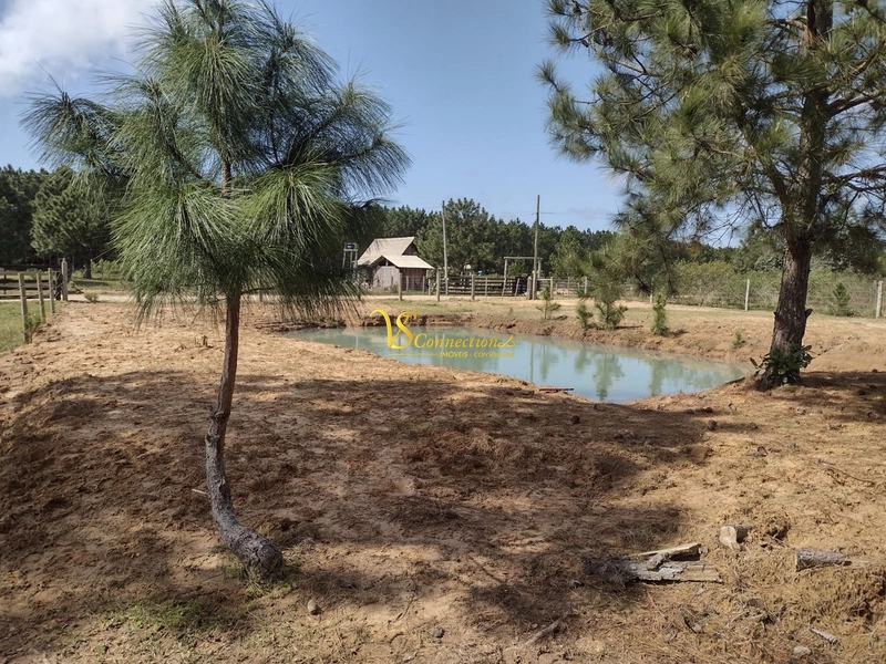 SÍTIO À VENDA EM TRAMANDAÍ: 1ª foto da galeria de imagens do imóvel