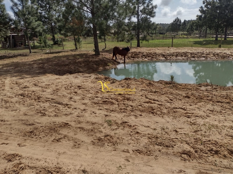 SÍTIO À VENDA EM TRAMANDAÍ: 6ª foto da galeria de imagens do imóvel