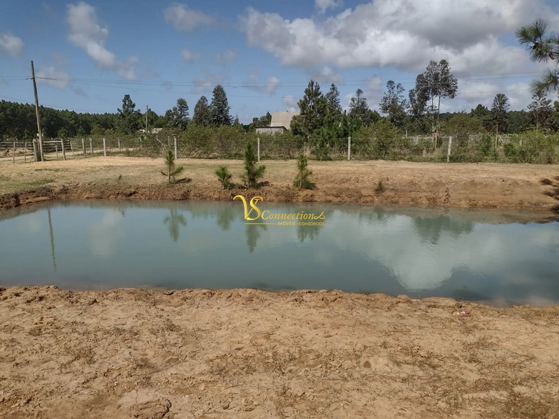 SÍTIO À VENDA EM TRAMANDAÍ: 5ª foto da galeria de imagens do imóvel