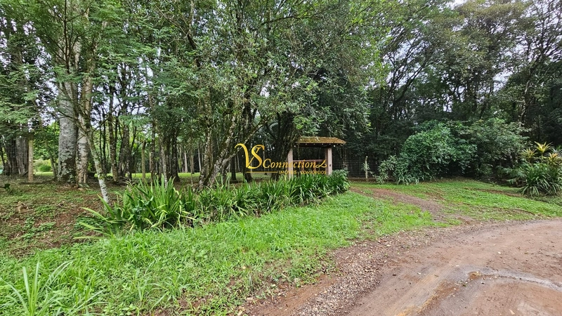 CHACARA EM SAPIRANHA 3,5 HECT: 7ª foto da galeria de imagens do imóvel